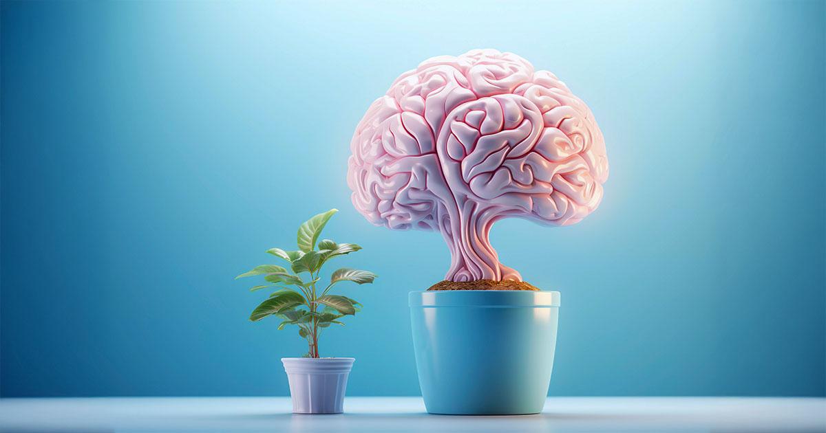 Doğanın Beyin ve Bilişsel Performans Üzerindeki Etkisi