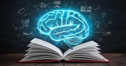 Beyin Eğitimi Nedir ve Nasıl Yapılır? Etkili Yöntemler